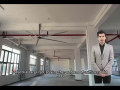 5.0M 16FT Grands ventilateurs pour une circulation d'air optimale dans les espaces des écoles et des gymnases