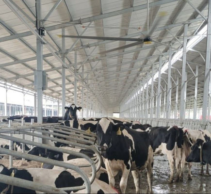 Un bon prix. Fan de plafond économiseuse d'énergie géante universelle des fans de plafond 380V 220V 1.5KW en ligne